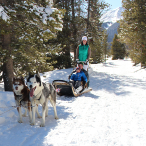 family dog sledding